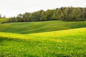 Campos Sin datos  VENDO CAMPO